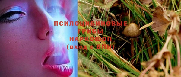 шишки Абдулино