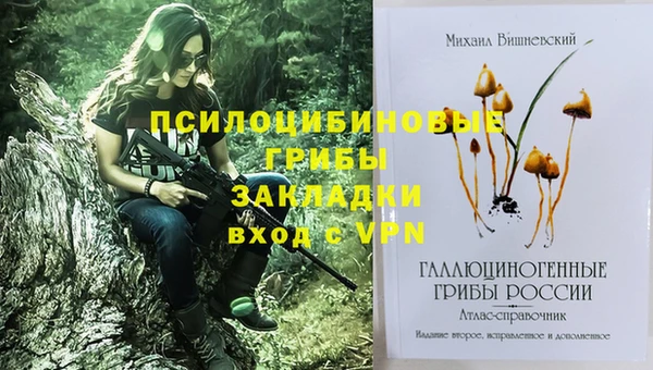 первитин Абинск