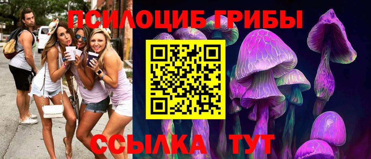 Галлюциногенные грибы мицелий Раменское