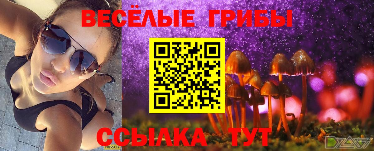 Раменское  Псилоцибиновые грибы MAGIC MUSHROOMS  Вход с VPN  Псилоцибиновые грибы Magic Shrooms 